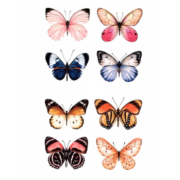 Tatuaj temporar, Flash Tattoos Romania, Blush Butterflies, rezistent la apa, 12 x 7 cm
