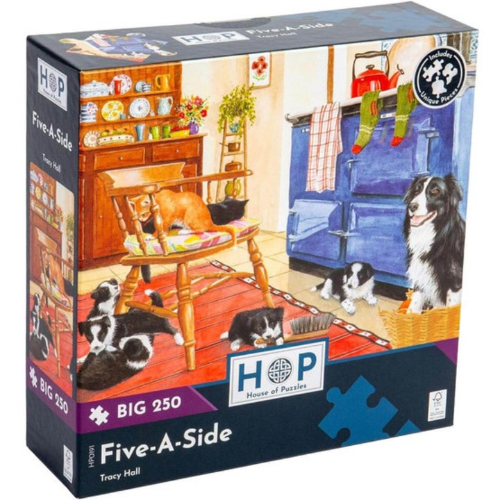 House of Puzzles 250 de piese XXL puzzle - Five-A-Side (HP0191)
