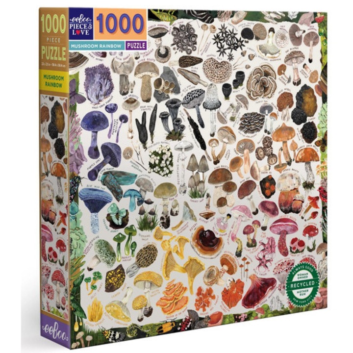EeBoo puzzle 1000 piese - Curcubeu cu ciuperci (PZTMRW)