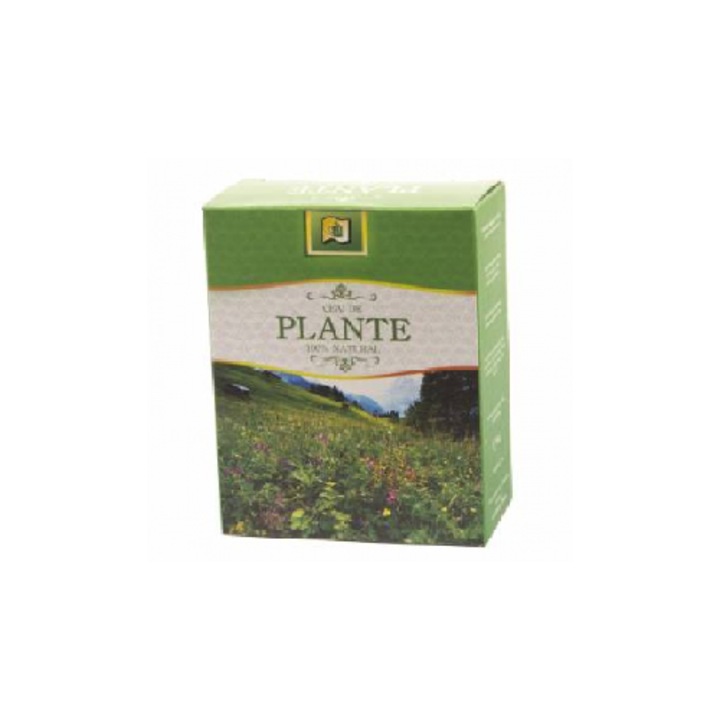 Ceai Angelica 50g Stefmar
