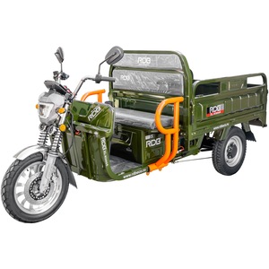 Alte vehicule electrice