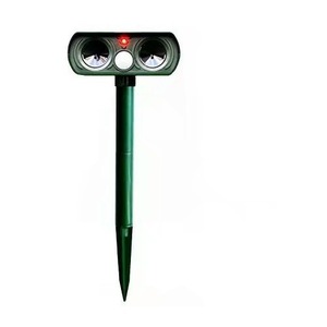 Articole daunatori gradina