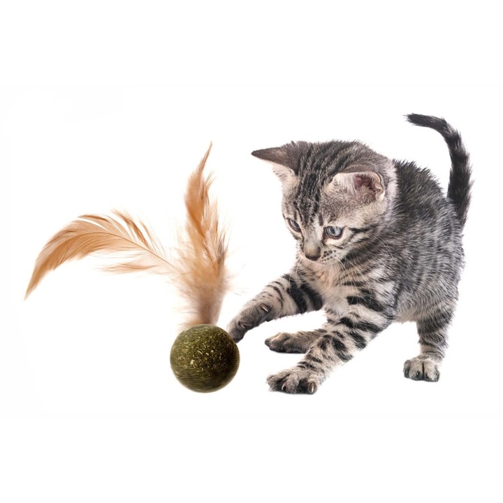 Jucarii pentru pisici: mingi cu iarba pisicii si pene, JK, 3cm (Set 12 bucati)