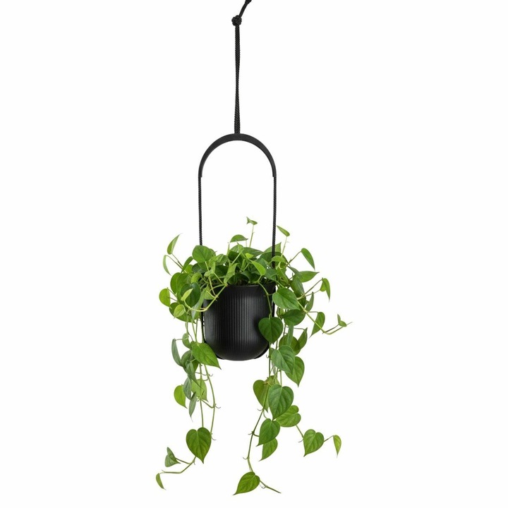 Ghiveci Suspendat, HowHomely, AERA HANG, Material 100% Reciclat, Textura Moderna Jumper, Ideal Pentru Interior Si Balcon, Economiseste Spatiul, Rezistent Si Elegant, Diametru 17.9 cm, Negru