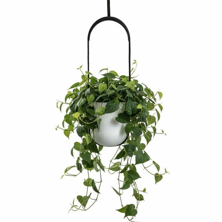 Ghiveci Suspendat, HowHomely, AERA HANG, Material 100% Reciclat, Textura Moderna Jumper, Ideal Pentru Interior Si Balcon, Economiseste Spatiul, Rezistent Si Elegant, Diametru 17.9 cm, Alb