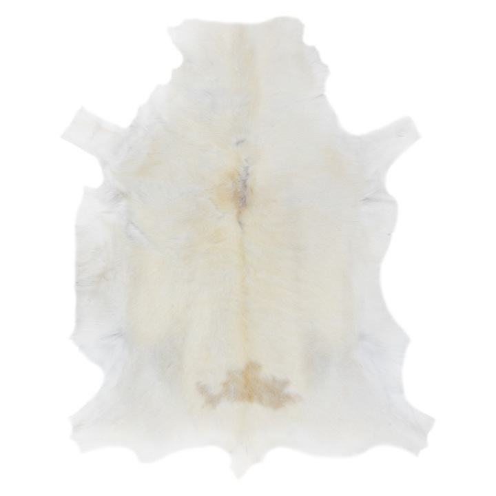 Covor Dywany Łuszczów Renifer albino POK013, piele naturala, decorativ, aruncat, premium, alb / crem, 100x120 cm