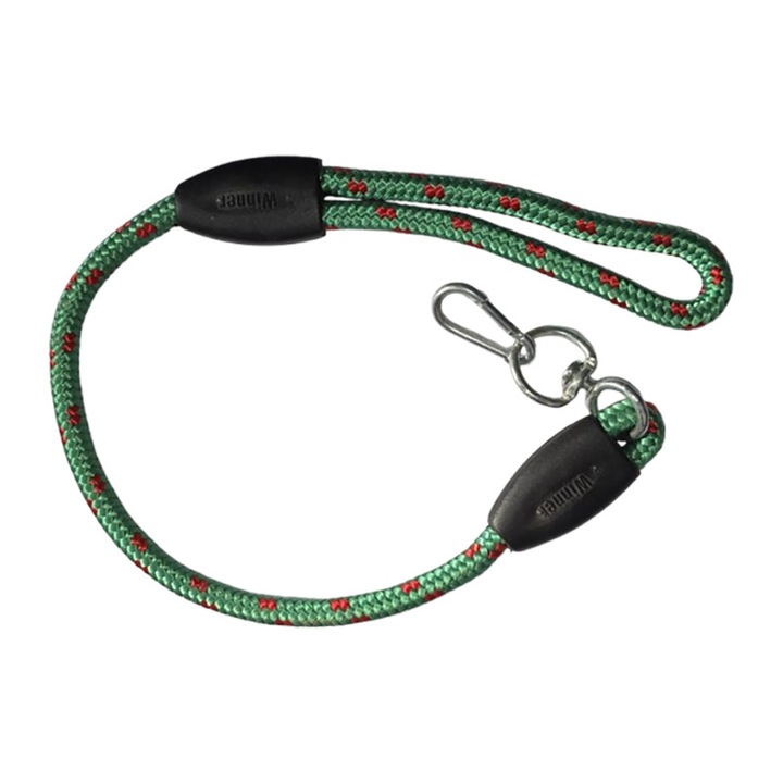 Lesa sintetica pentru caine, verde, Nr-301, 10 mm x 70 cm