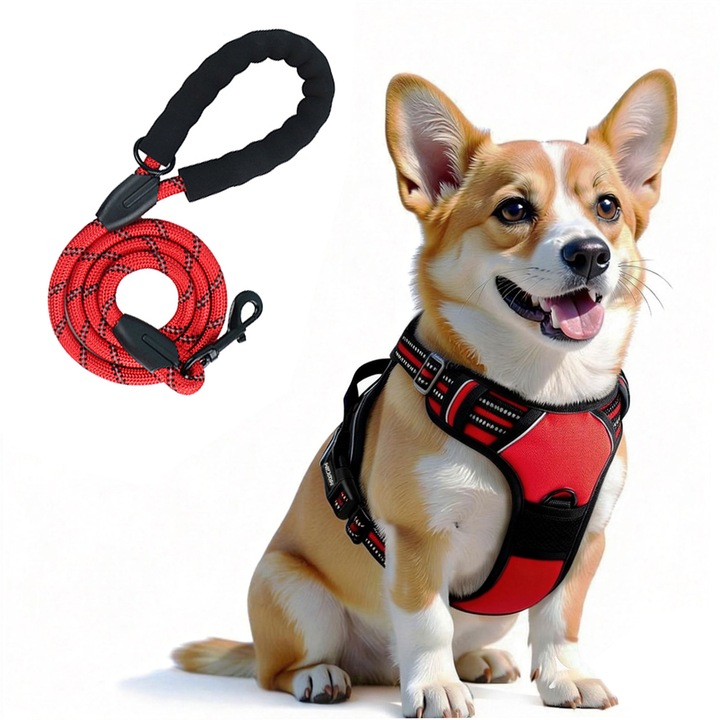 Set Ham si Lesa pentru Caini medie si mare, MUGIM®, cu benzi Reflectorizante, Ham reglabil si Lesa elastica de 1.5 m x 12 mm, Rosu, M
