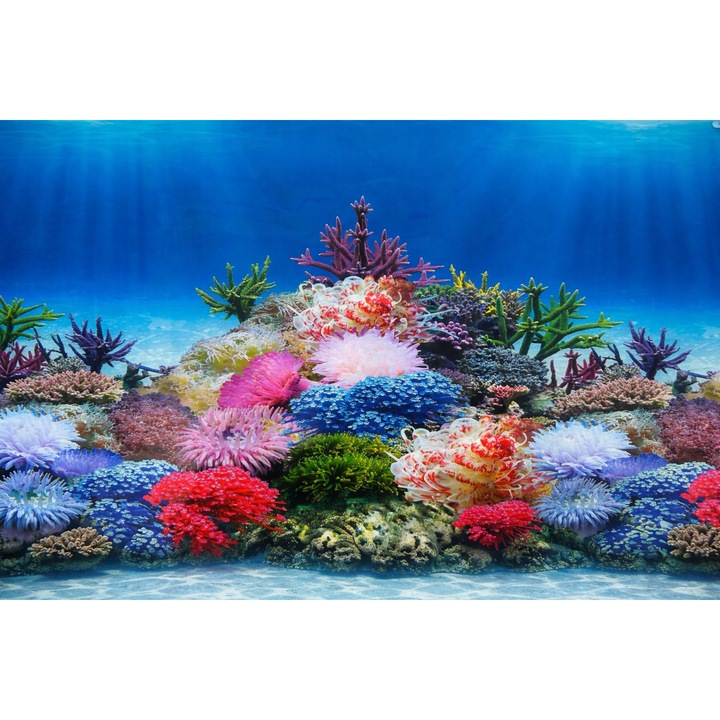 Fundal acvariu dublu-fata, recif marin/peisaj plantat, 28x50 cm
