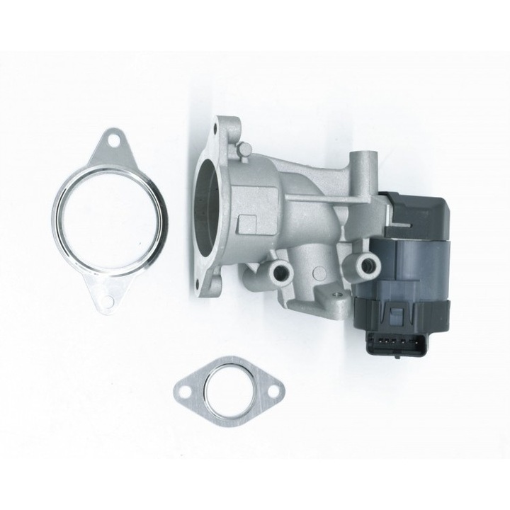 Supapă EGR cu garnitură, DR MOTOR, 1618GZ, auto piese