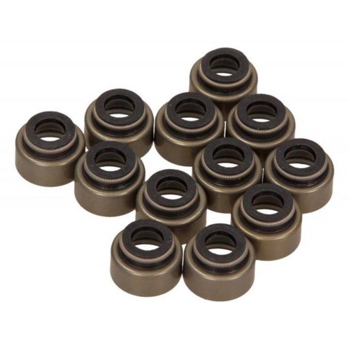 Set garnituri tije supapa Victor Reinz, Ford Ranger 2, 5D, 2002-2006, 12 bucati