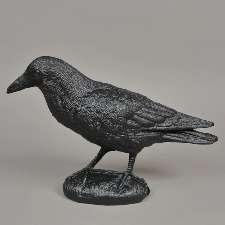 Corb/Cioara Plastic Sperietoare Pasari, pentru terase si acoperisuri, din plastic, impermeabil, 30x48 cm