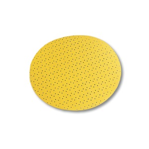 Accesorii polizare si slefuire