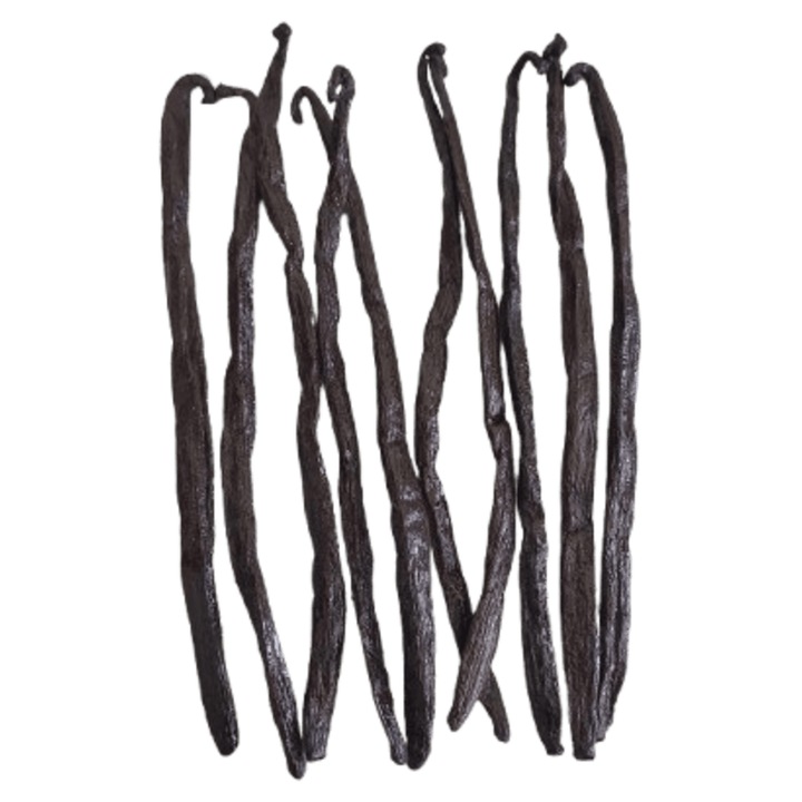 Pastaie vanilie, Vanilla Royale, 10 buc, 16-18cm, textura carnoasă, umiditate 30-35%