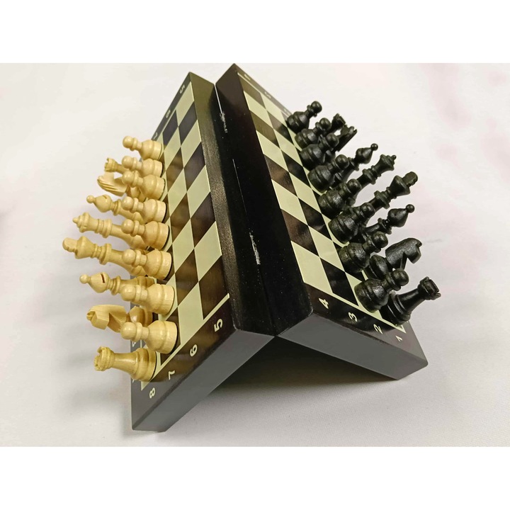 Set mini sahuri magnetice calatorie 20x20cm, negru