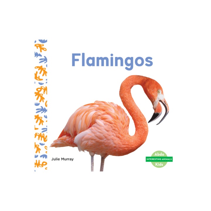 Flamingos, Julie Murray