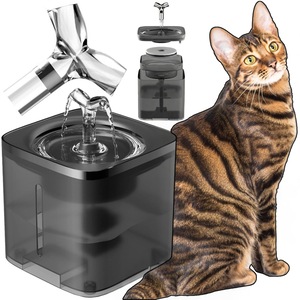 Castroane si adapatori animale