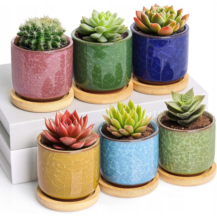 Set 6 ghivece ceramice cu suporturi, 6cm, alb, design clasic