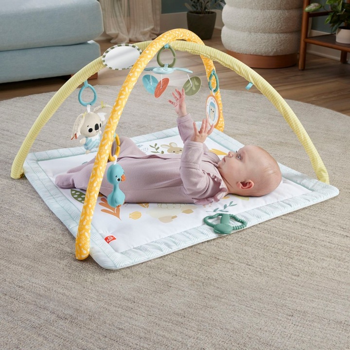 Salteluta de gimnastica Fisher Price, 57x40.5x7.5cm, unisex, pentru nou-nascuti