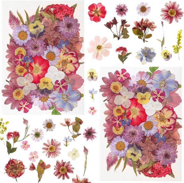 Dekoratív keverék természetes szárított virágok scrapbookhoz, Inny, 1000 V-ig szigetelt