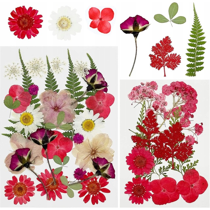 Préselt természetes szárított virágkeverék scrapbookinghoz