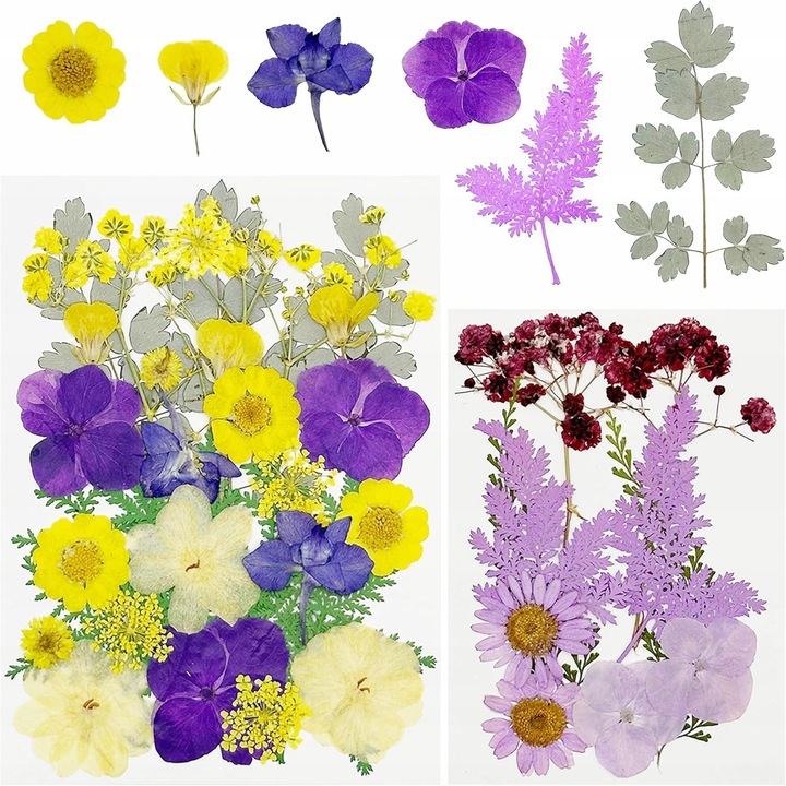 Préselt természetes szárított virágkeverék scrapbookinghoz