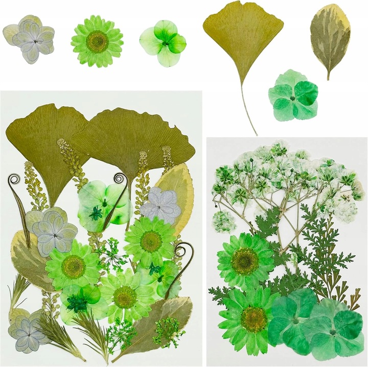 Préselt természetes szárított virágkeverék scrapbookinghoz