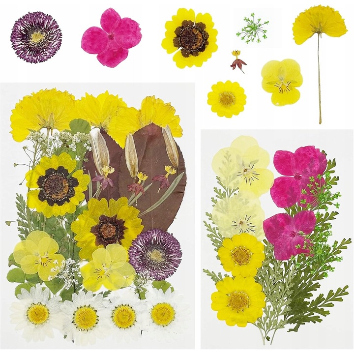 Amestec flori uscate naturale presate, pentru scrapbook, multicolor