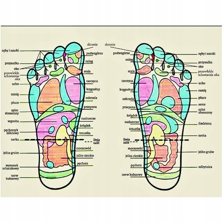 Kéthengeres fa lábmasszírozó, 5 sor tüskével, ergonomikus, 30x10cm