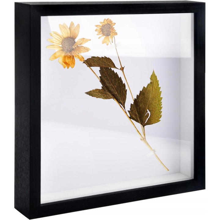 Rama foto 3D set, 20x20 cm, neagra, pentru fotografii si obiecte mici