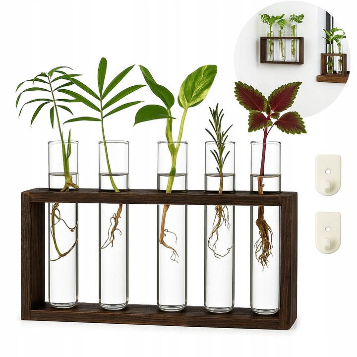 Suport pentru plante cu 5 proba, design modern, lemn natural, sticla, dimensiuni 22x5x12,7cm