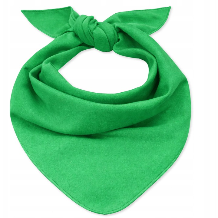 Baveta Dartomik, 100% bumbac, 78x55cm, verde zgnila, pentru nou-nascuti