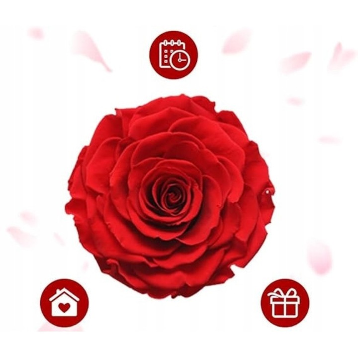 Set de cadou cu trandafir etern rosu, cutie eleganta cu sertar, si pandantiv inima "I Love You" in 100 de limbi