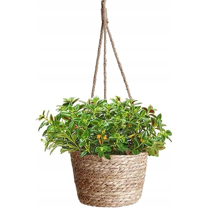 Ghiveci suspendat din iarba de mare, natural