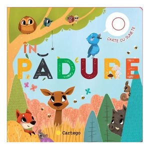 Activitati extracurriculare