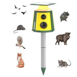 Articole daunatori gradina