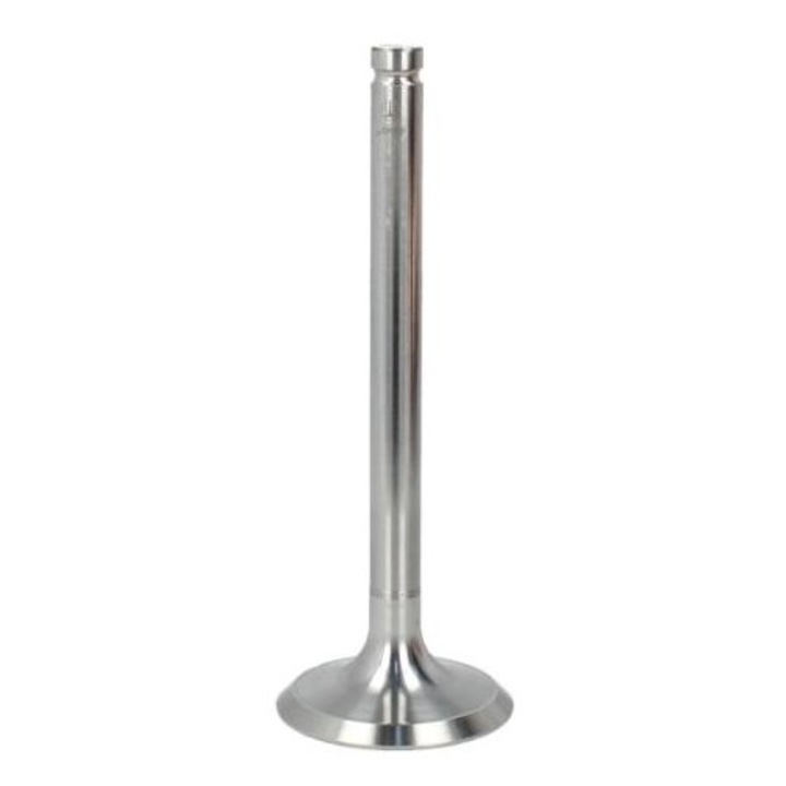 Supapa admisie Massey Ferguson Paradowscy 742286M1