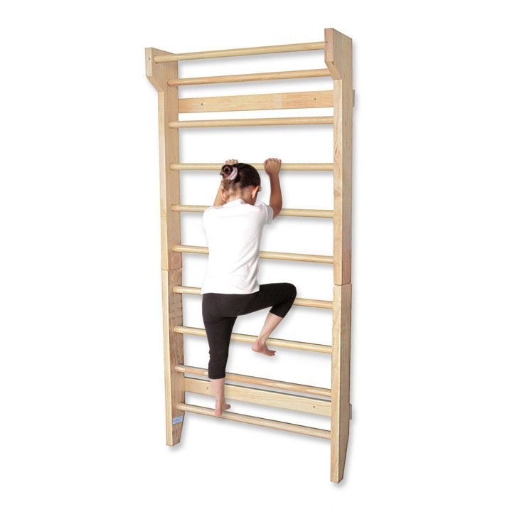 Scara gimnastica Bituxx, 10 trepte, 195x80cm, 9,45kg