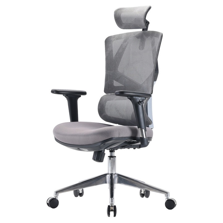 Ергономичен офис стол Dakota 2.0, графит, динамична лумбална опора, мрежеста облегалка