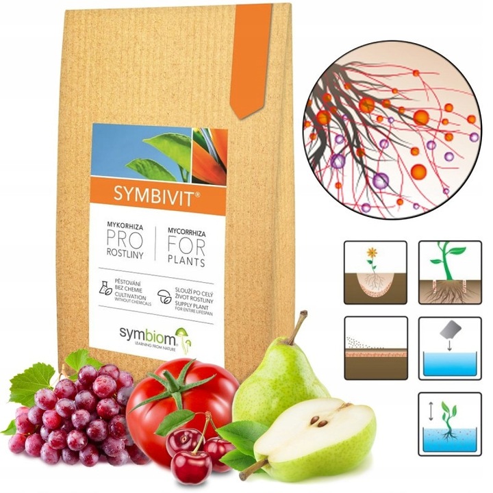 Micoriza Universala, Symbiom, ciuperca vie gradina livada, stimuleaza cresterea radacinilor, recolte bogate, rezistenta la seceta, vitalitate