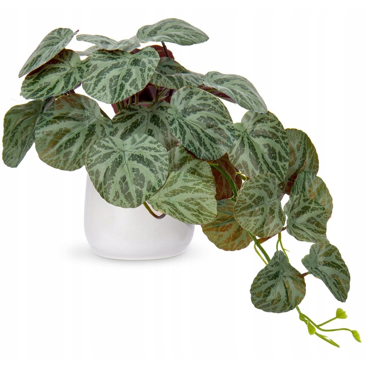 Plante artificiale Begonia Versicolor in ghiveci, 20cm inaltime, 31cm frunze, set 1 bucata
