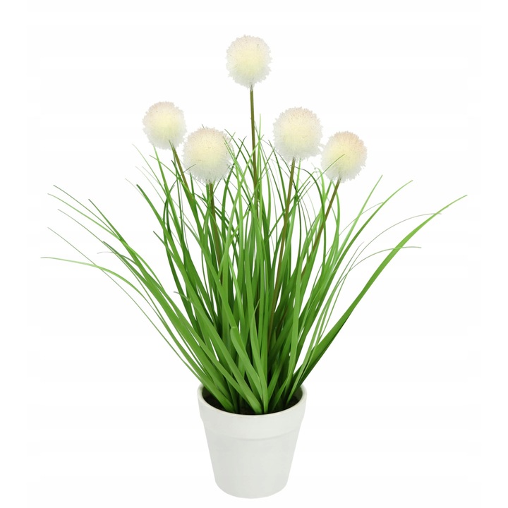 Műnövény Knopfgras, Flair, dekoratív, zöld, fehér műanyag cserépben