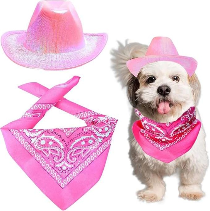 Costum pentru caini, CE, palarie cowboy cu bandana, roz, set