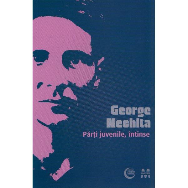 Parti juvenile, intinse - George Nechita