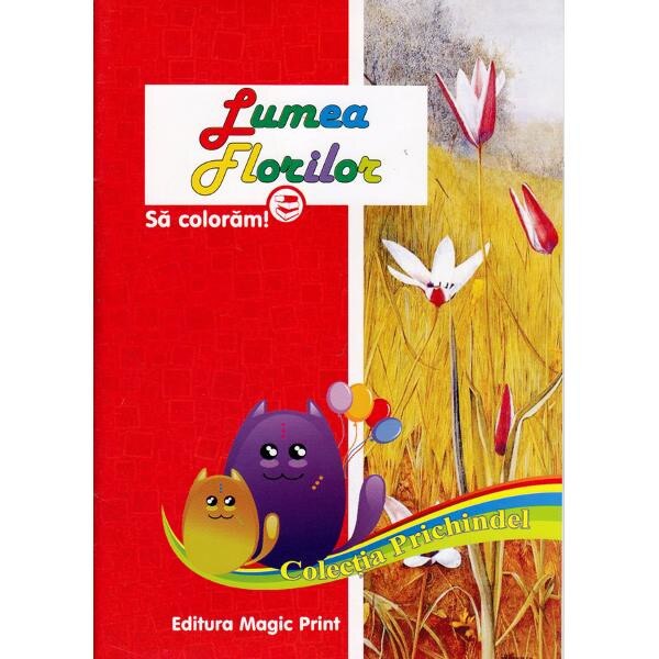 Lumea florilor - Sa coloram!