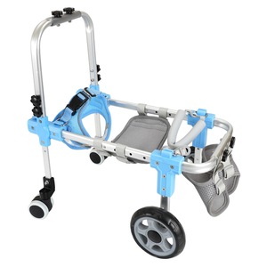 Genti si articole transport