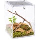 Акрилен терариум Repti-Zoo PACR85 Acrylic Terrarium – прозрачен, за паяци, 15x16x20 см