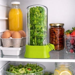 Ghivece si suporturi