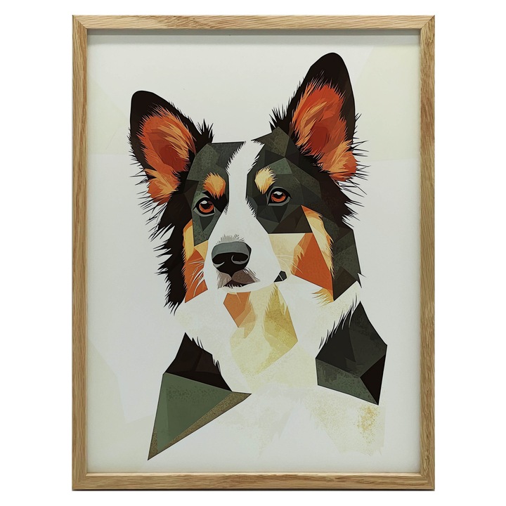 Tablou Border Collie, 50x70 cm, rame din lemn maro inchis, hartie mata 230 gsm