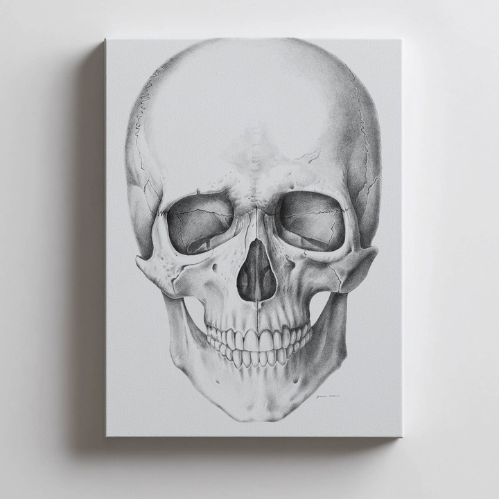 Tablou cu model Craniu, 50x70 cm, Tip panza pe sasiu